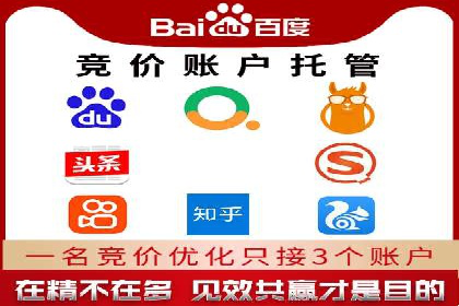 某公司网站sem托管项目纪实